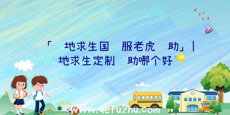 「绝地求生国际服老虎辅助」|绝地求生定制辅助哪个好